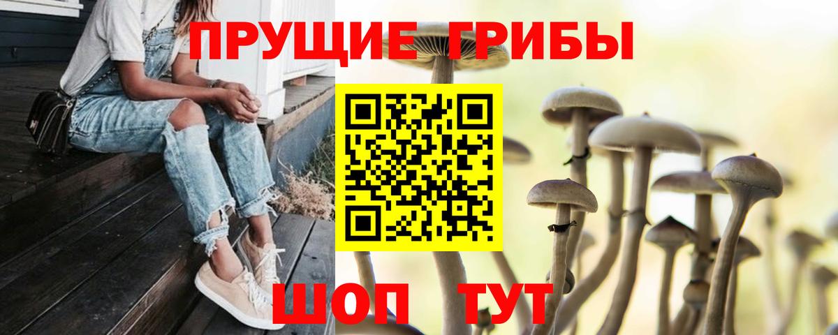 Елизово  Галлюциногенные грибы GOLDEN TEACHER  Вход с VPN 